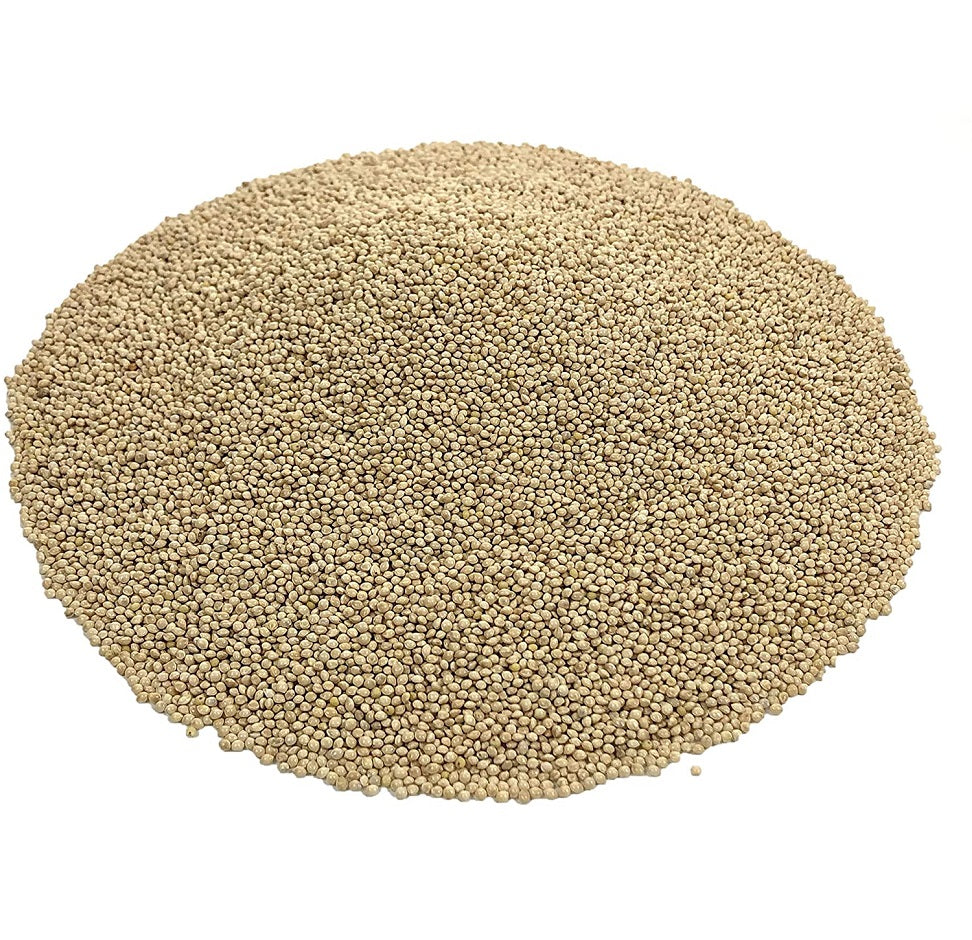 10 lbs White Proso Millet Seeds